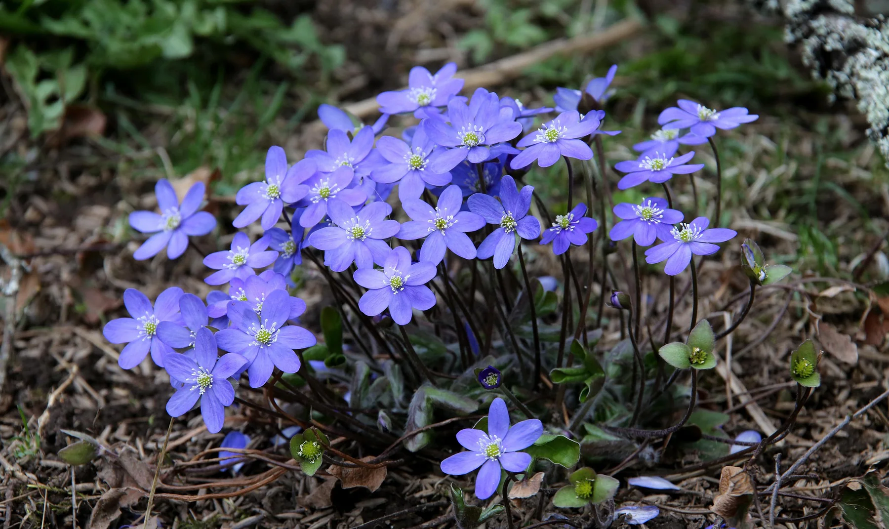 Grow the Extraordinary Today